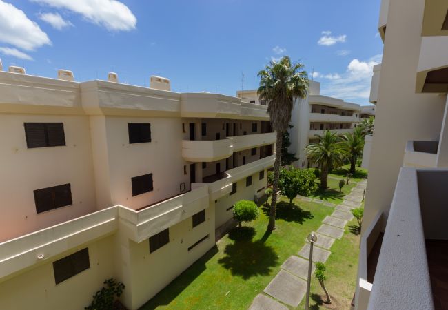 Apartamento em Lagos - T2 Gaivota - Free Wifi - Pool, Sea View Apartamento em Lagos - T2 Gaivota - Free Wifi - Pool, Sea View