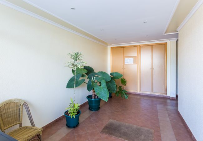 Apartamento em Lagos - Pedros Apartment - Free wifi & Air Condition