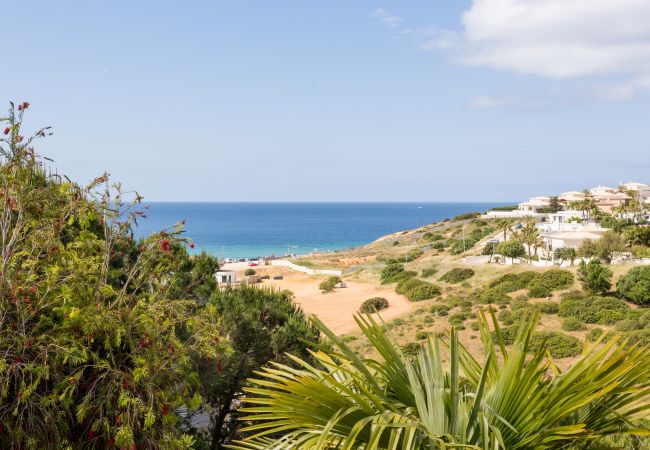 Ferienwohnung in Lagos - T1 Vila Mós