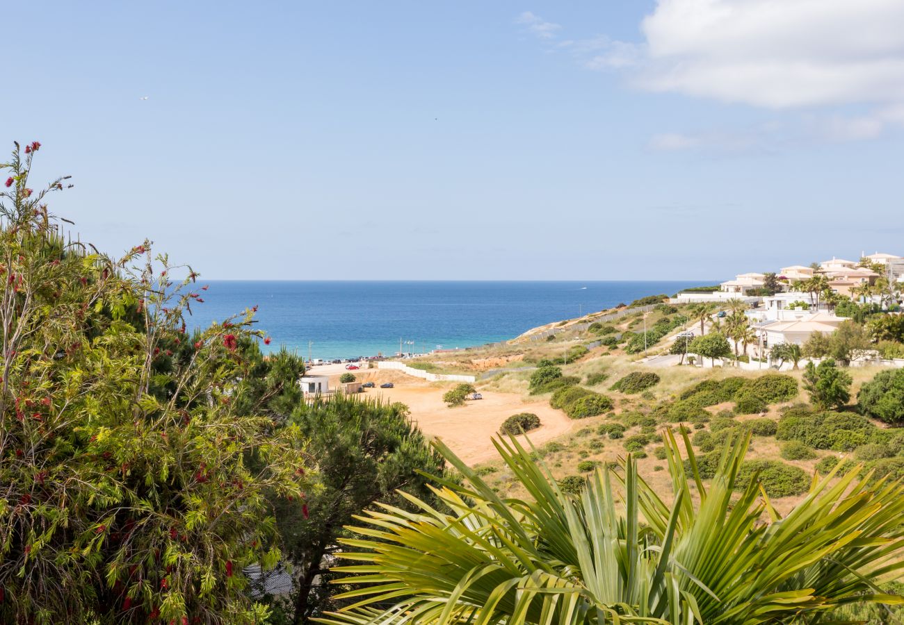 Ferienwohnung in Lagos - T1 Vila Mós