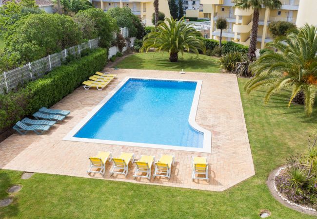 Ferienwohnung in Lagos - Apartamento Terra Mare by Seewest Ferienwohnung in Lagos - Apartamento Terra Mare by Seewest