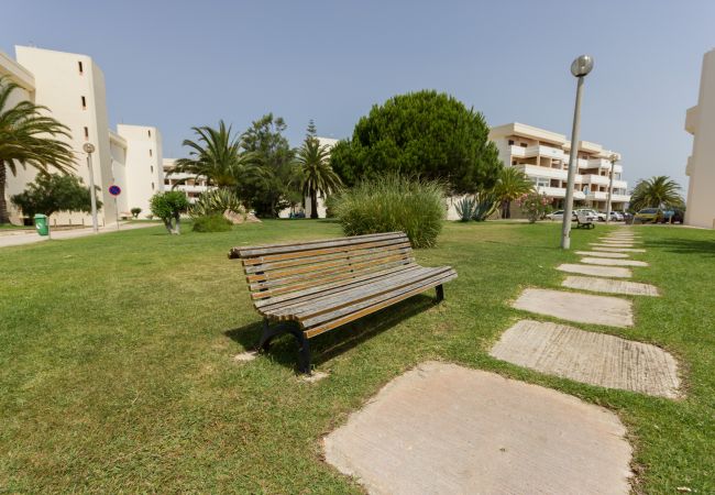 Apartment in Lagos - T2 Gaivota - Free Wifi - Pool, Sea View Apartment in Lagos - T2 Gaivota - Free Wifi - Pool, Sea View