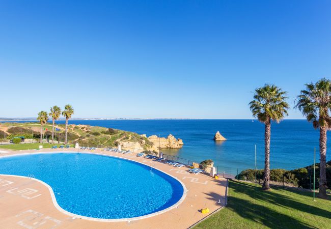 Apartment in Lagos - T2 Gaivota - Free Wifi - Pool, Sea View Apartment in Lagos - T2 Gaivota - Free Wifi - Pool, Sea View