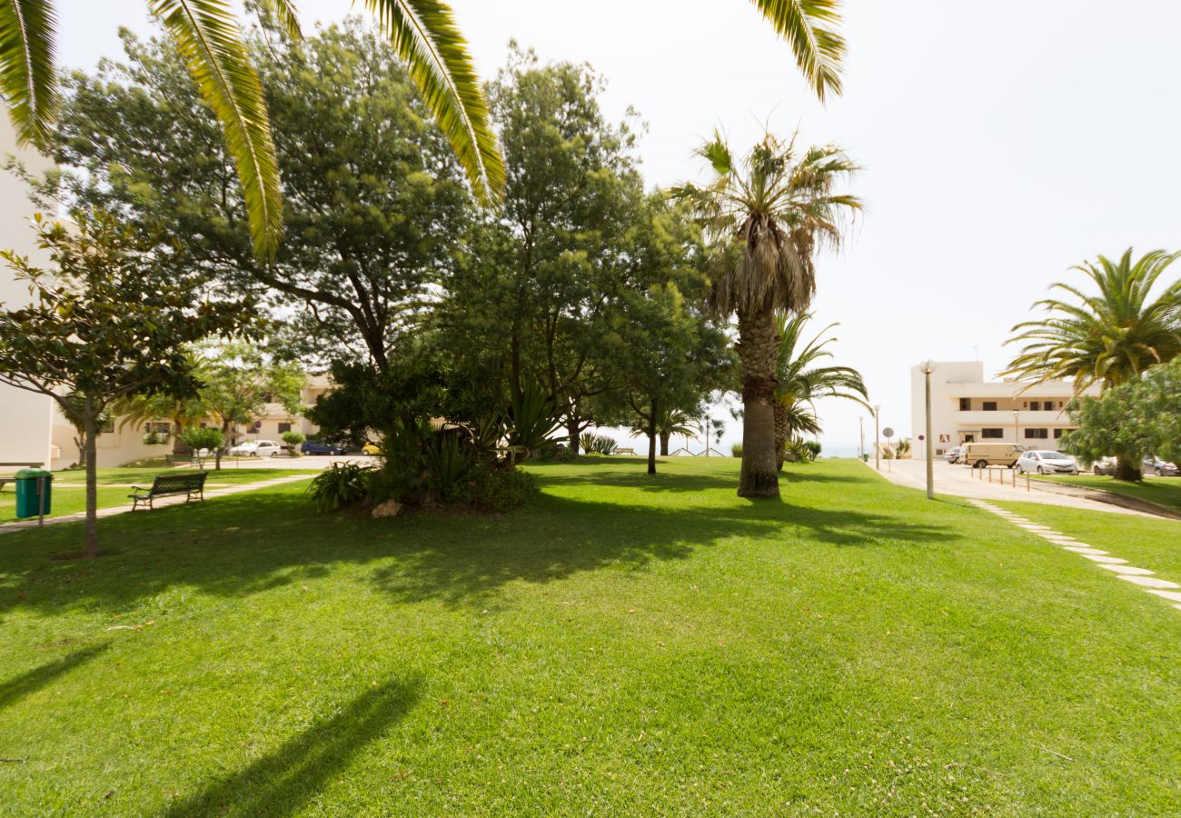 Apartment in Lagos - T2 Gaivota - Free Wifi - Pool, Sea View