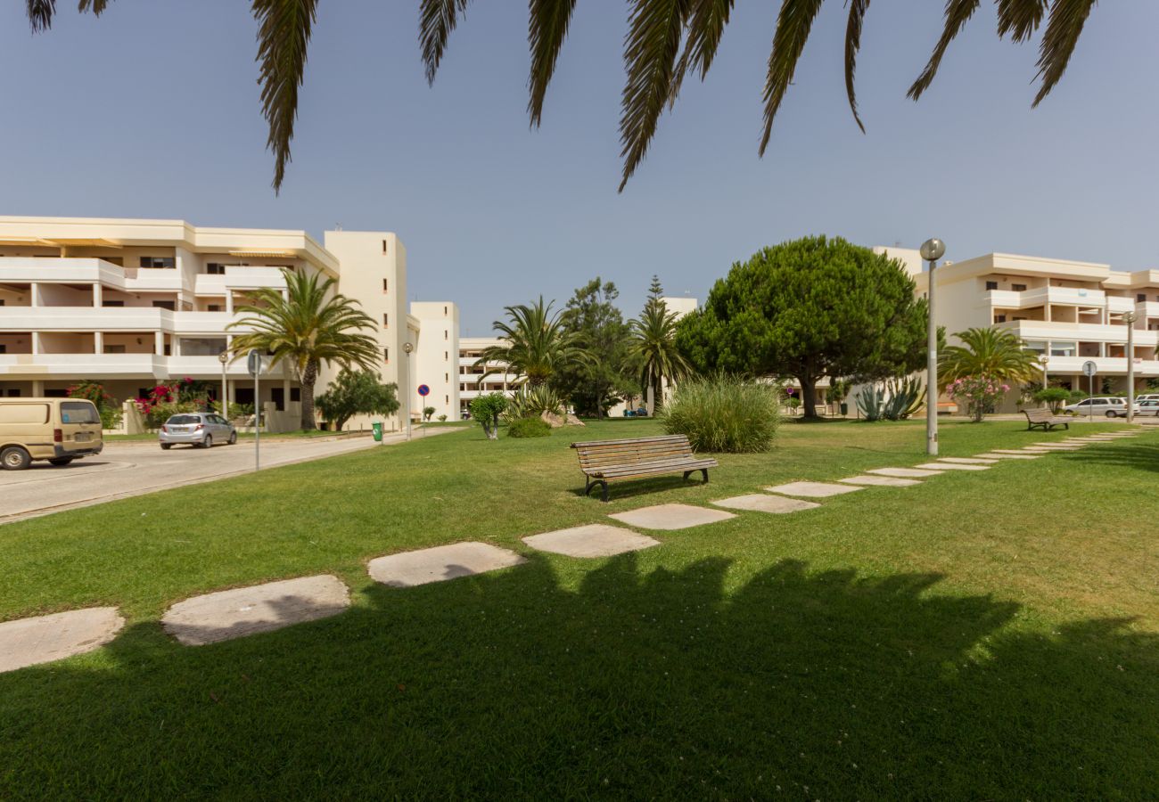 Apartment in Lagos - T2 Gaivota - Free Wifi - Pool, Sea View