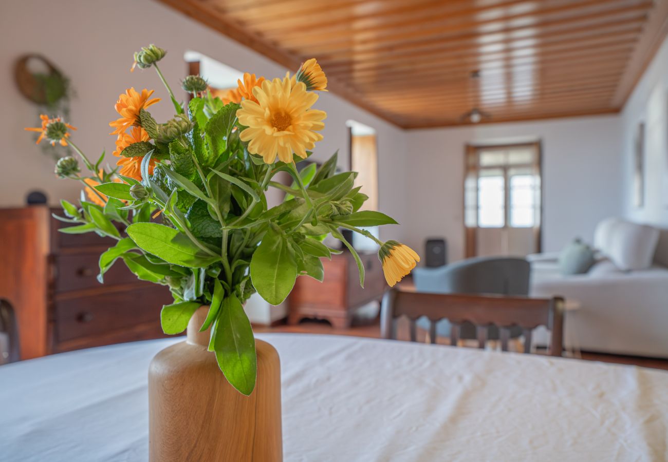 Cottage in São Mateus - São Mateus Ocean View