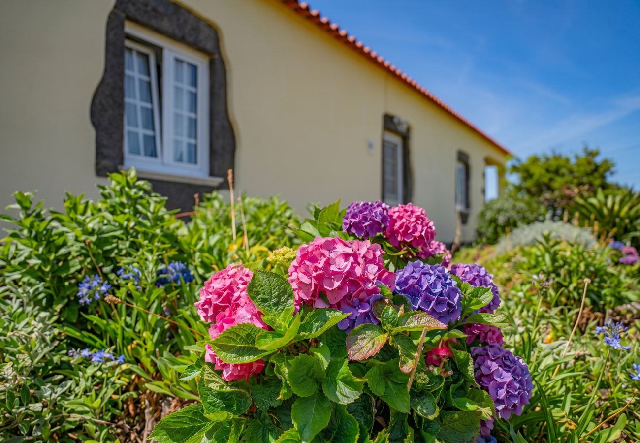 Cottage in Altares - Terceira Horizon Retreat by Seewest